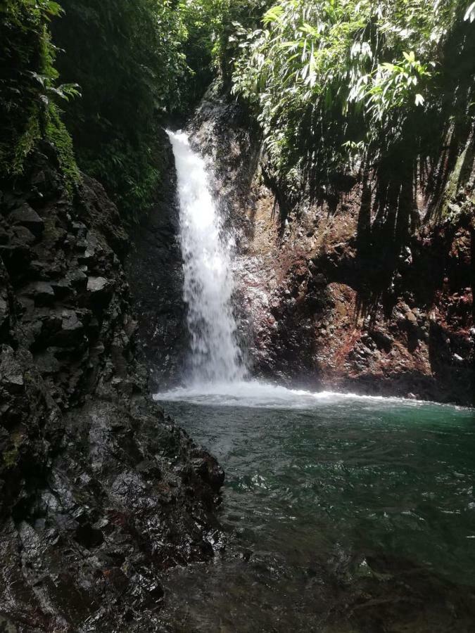 Posada El Acuario Bahia Solano Bagian luar foto