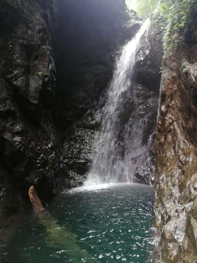 Posada El Acuario Bahia Solano Bagian luar foto